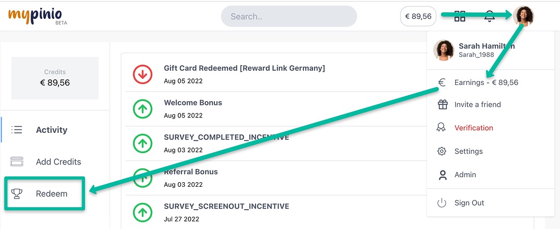 Earnings from paid surveys