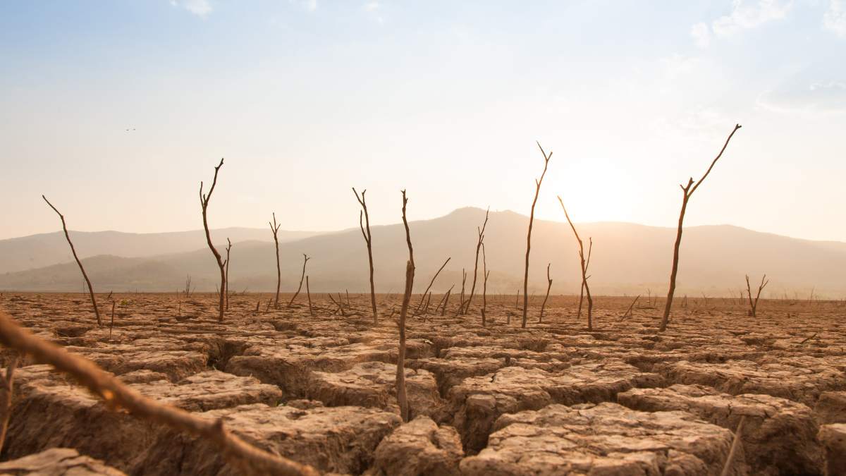 Many photographers in the field of documentary photography turn to the topic of climate change
