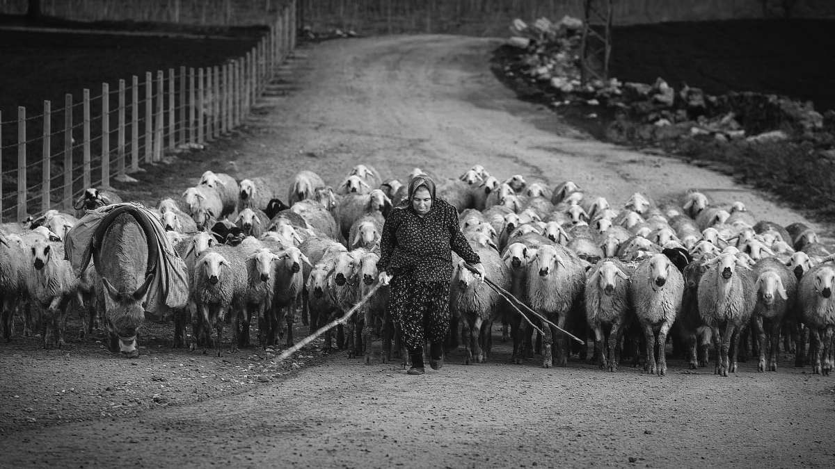 Example Documentary Photography
